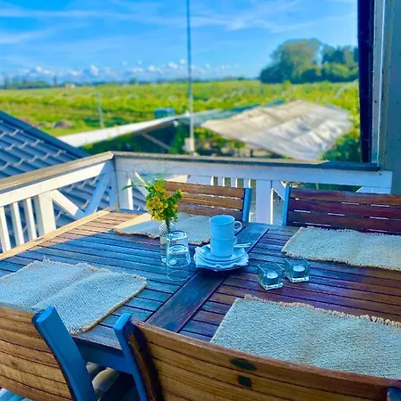 Cozy At Organic Vinery, Vesterhave Vingaard - See More At By-bjerg Com Karrebæksminde