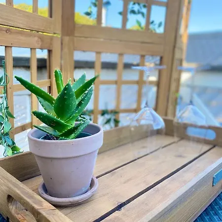 Cozy At Organic Vinery, Vesterhave Vingaard - See More At By-bjerg Com Agroturismo