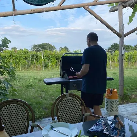 Farmház Cozy At Organic Vinery, Vesterhave Vingaard - See More At By-bjerg Com