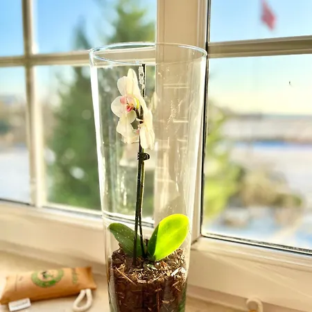 Cozy At Organic Vinery, Vesterhave Vingaard - See More At By-bjerg Com Agroturismo Karrebæksminde