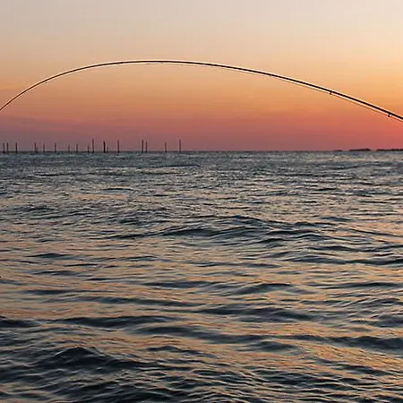 Cozy At Organic Vinery, Vesterhave Vingaard - See More At By-bjerg Com