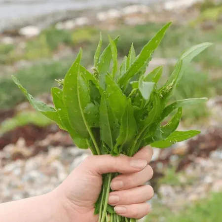 Cozy At Organic Vinery, Vesterhave Vingaard - See More At By-bjerg Com *