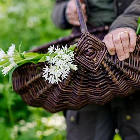 Agroturismo Cozy At Organic Vinery, Vesterhave Vingaard - See More At By-bjerg Com *