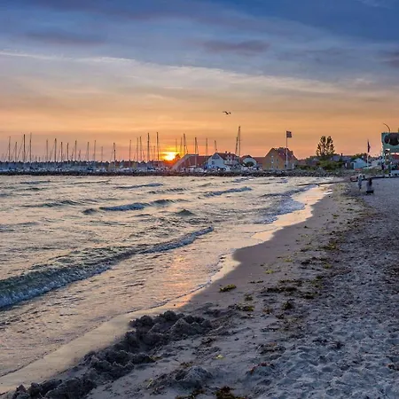 Cozy At Organic Vinery, Vesterhave Vingaard - See More At By-bjerg Com *