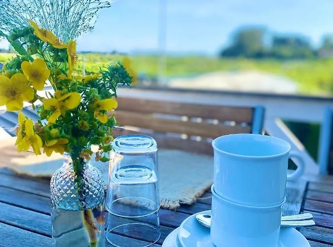 Farmház Cozy At Organic Vinery, Vesterhave Vingaard - See More At By-bjerg Com