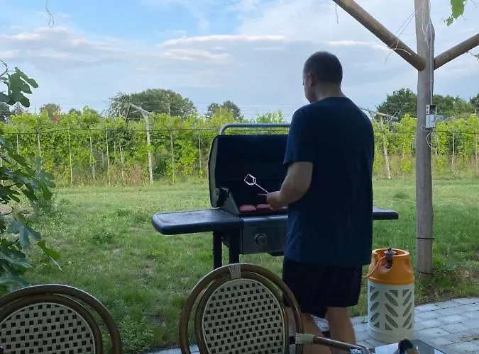 Farmház Cozy At Organic Vinery, Vesterhave Vingaard - See More At By-bjerg Com