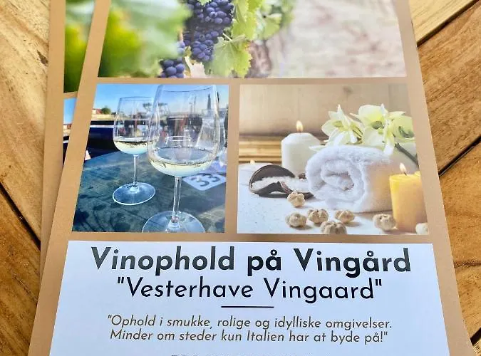 Cozy At Organic Vinery, Vesterhave Vingaard - See More At By-bjerg Com *